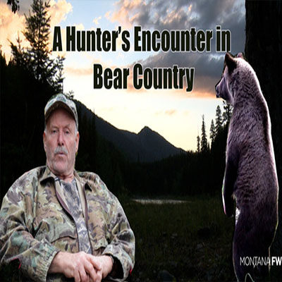 Hunter Bear Encounter